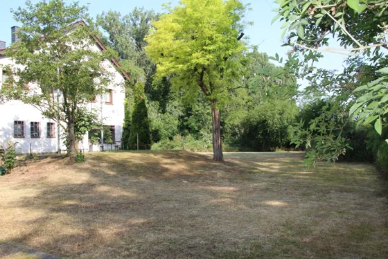 Gelände mit Parkplatz und Gartenfläche, Pension Danhof Schifferstadt